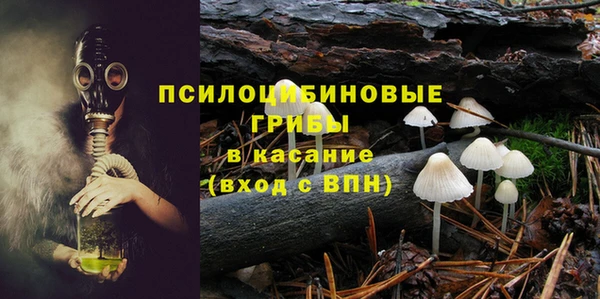 молекула духа Алзамай